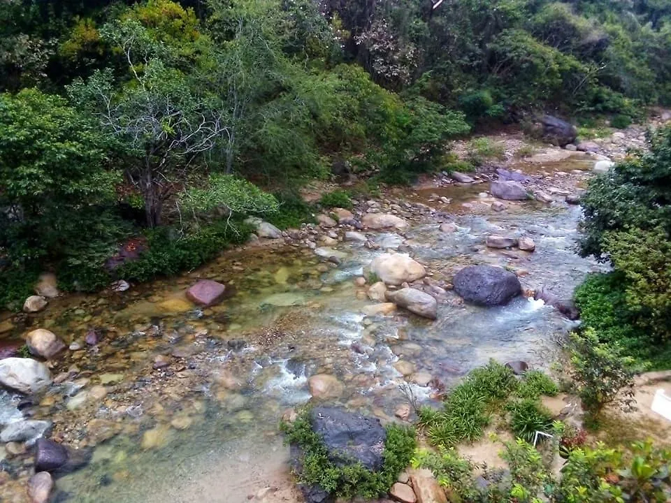 Casa Rio Cuale And River Retreat Puerto Vallarta Guest house