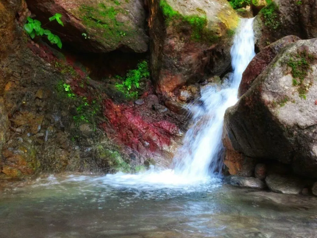 Casa Rio Cuale And River Retreat Puerto Vallarta Mexico